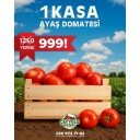 1 Kasa ( 25 kg ) Ayaş Domatesi